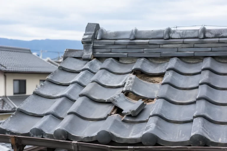 屋根材の原因候補